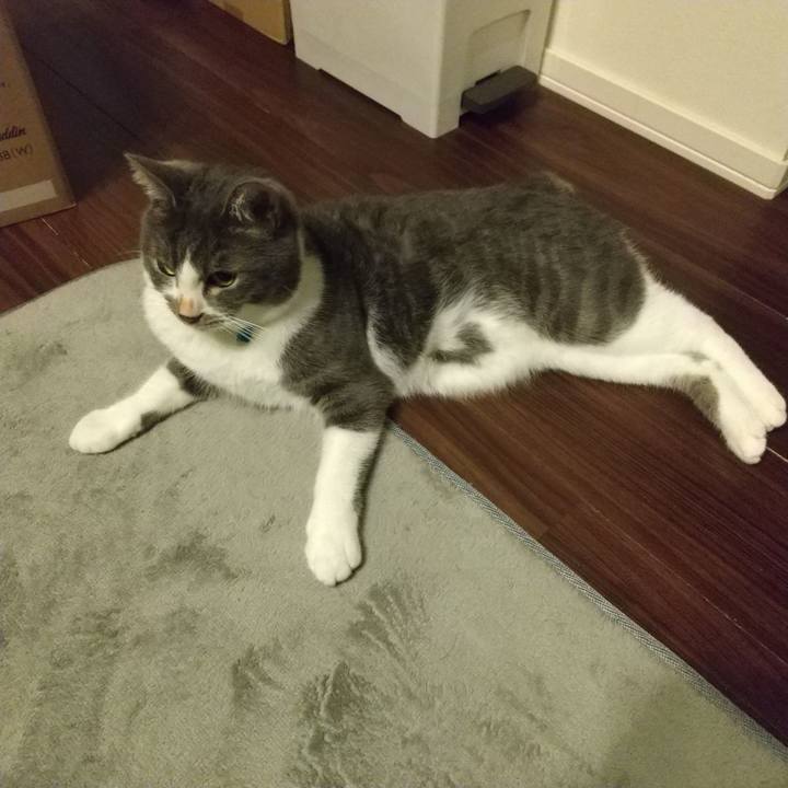 2539ea3f 8c91 41e6 a6ea 314f9da96271 1605042265752