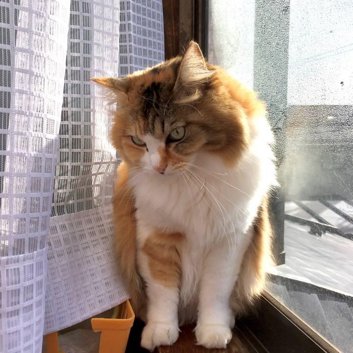 2539ed6b be0c 4a85 aaf3 8d7429d5690f 1576903077882