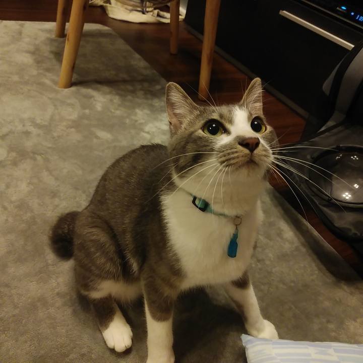 253a1709 e207 4c65 be0f da99add56536 1590588723351