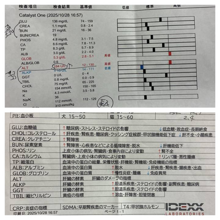 253a1bf8 f5df 41b9 8376 a0105e324abc 1761643369641