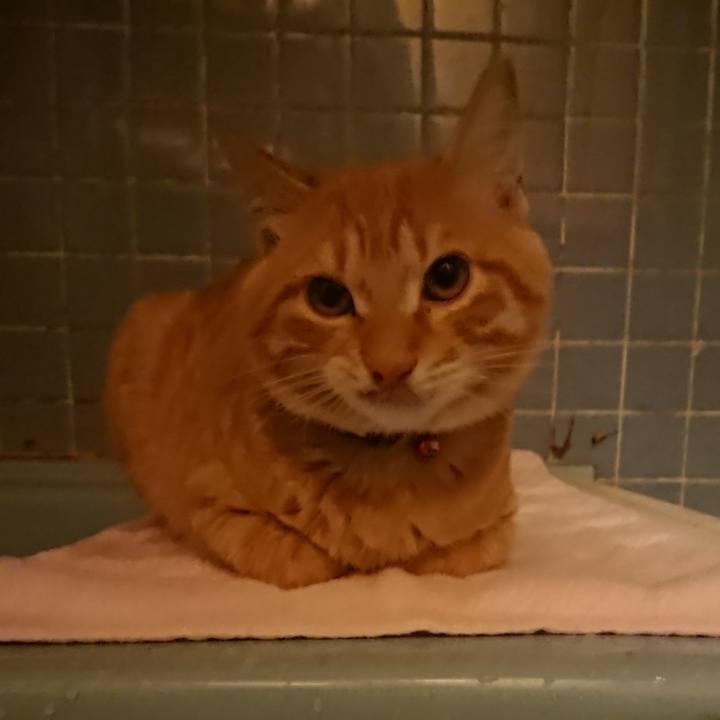 253a6656 9697 4473 841b 9533996d4330 1636019446881