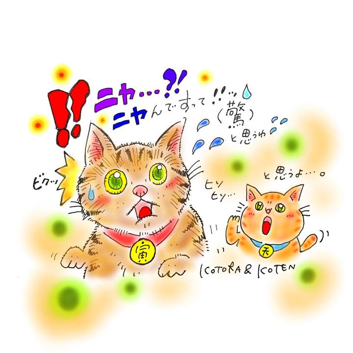 253a6d20 88b9 4315 868d 2fa1bd14df48 1575039476550