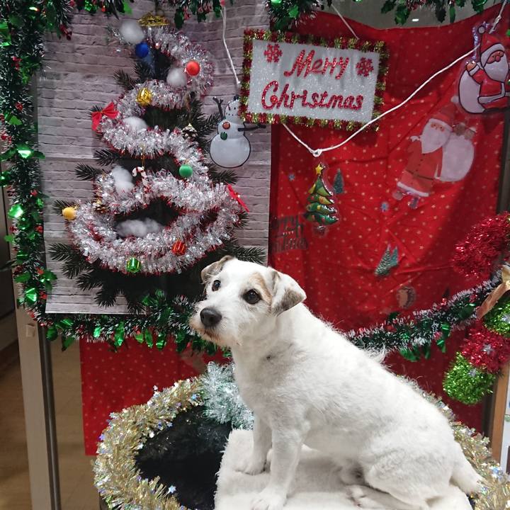 253aa9d0 361a 4660 9cf2 ecd0950315c4 1577026163998