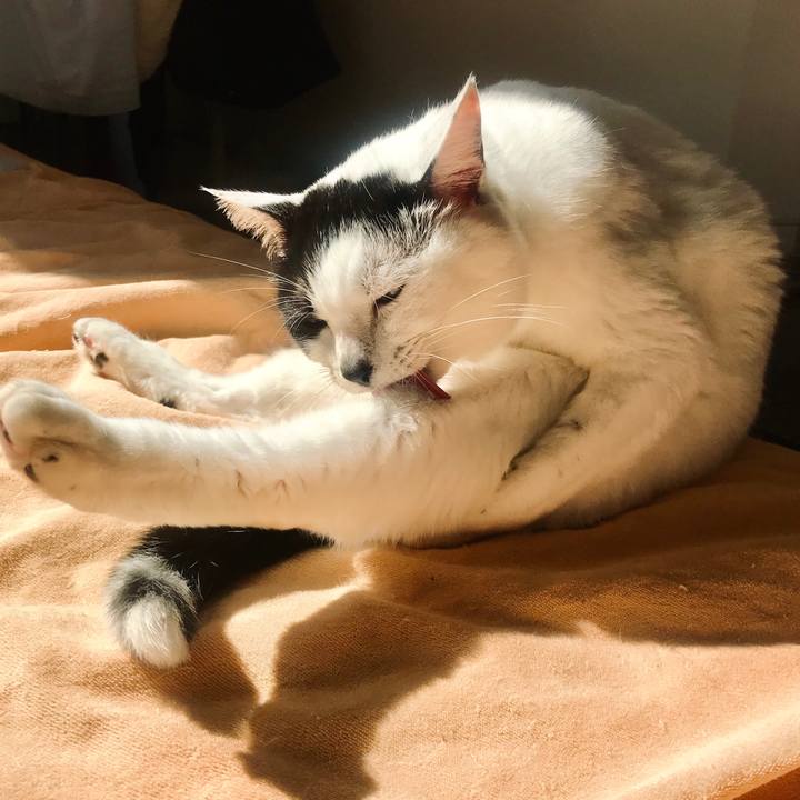 253ad9bb 9515 4a66 9ce6 d0550ade919b 1603886547803