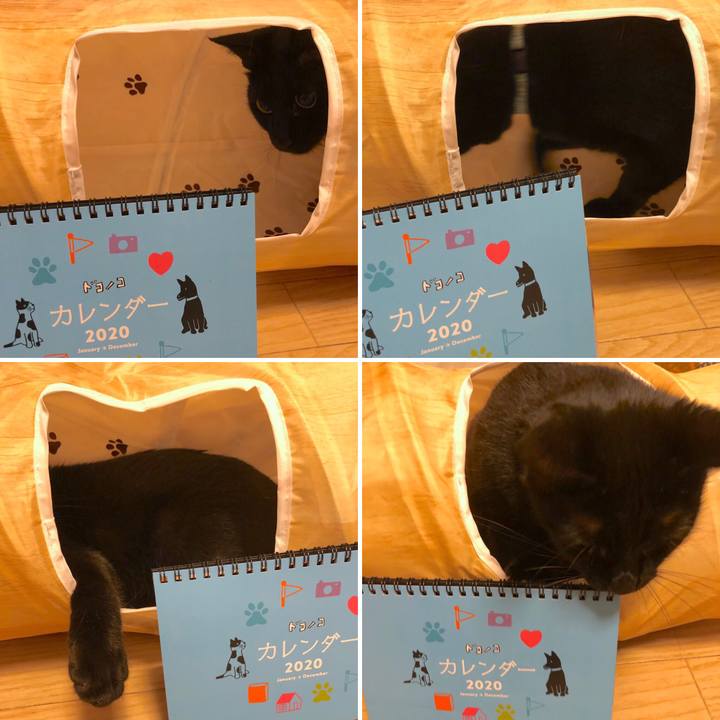 253ade46 8aab 4541 bcfc 892c1dfebab0 1575101643530