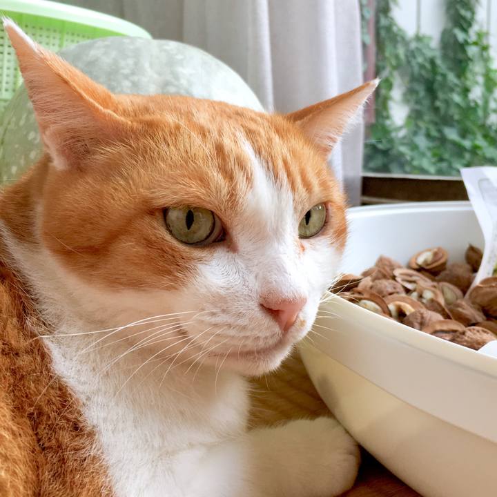 253ae644 b978 474f bc98 f5ea98c06b4c 1570417824525