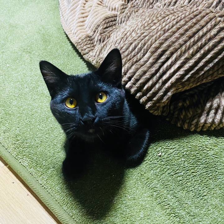 253b2fe3 5ca9 4765 acb1 5adb45547a54 1767276762595