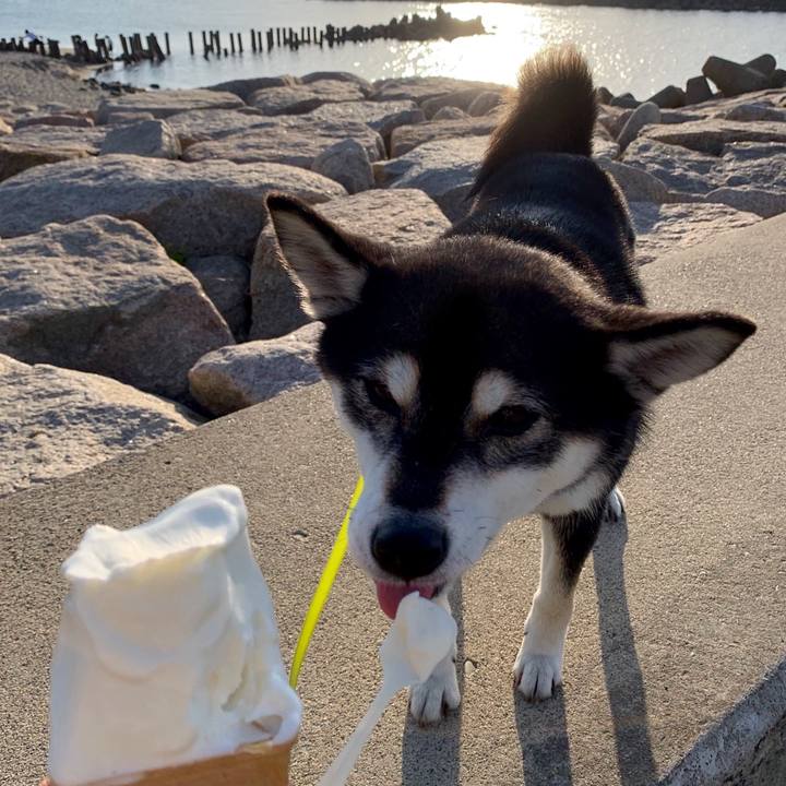 253b4e65 b486 40c6 a263 79750808a8c2 1558058366873