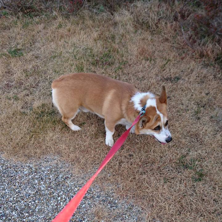 253b5f92 9406 4819 9ab4 9635e74d88e2 1610702271337