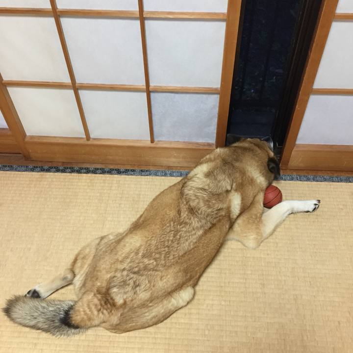 253b71c2 97ee 4973 a781 371f0c477b24 1560162105133