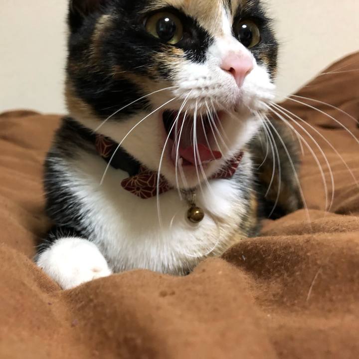 253b8572 50ea 4543 a642 ac5dca7a404a 1558183530912