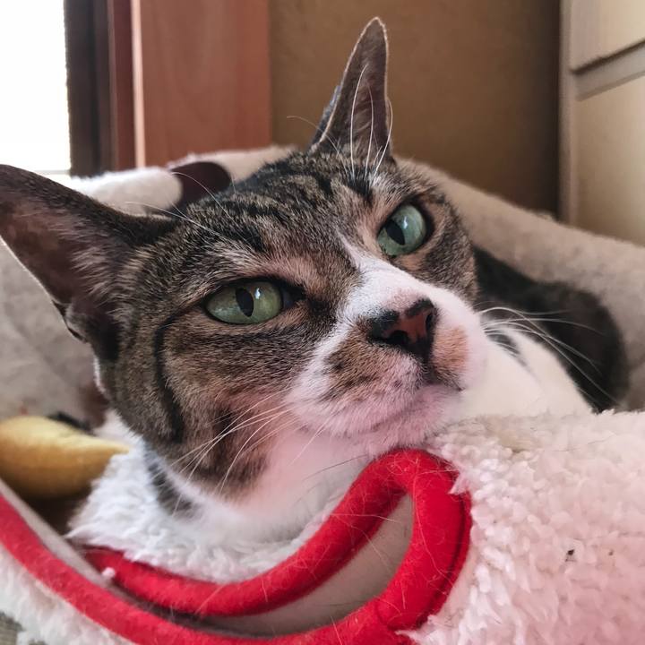 253b97f9 f86e 406f 8800 07d3529d4aac 1529805217180