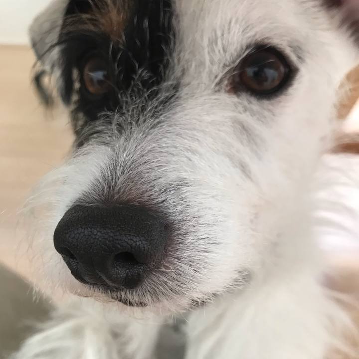 253bdf3c 8939 4d83 975b ec71cf007d23 1543965393410