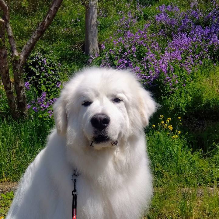 253bfe1b f1b1 4110 9346 d336dc11a082 1680822795704