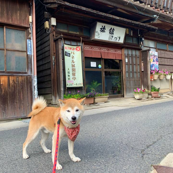 253c064a e5de 48b9 8009 a54e7ed83df1 1683281937308