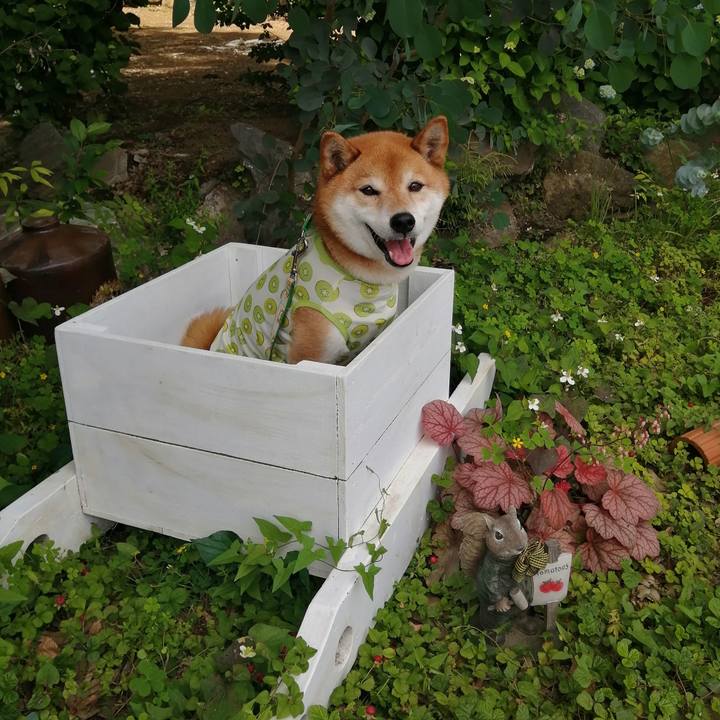 253c3a63 5fd6 49c5 8fe4 52dd85ef4c05 1685199436010