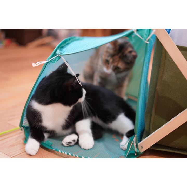 253cb016 7c7f 45ae b8c1 477200828d51 1667705648815