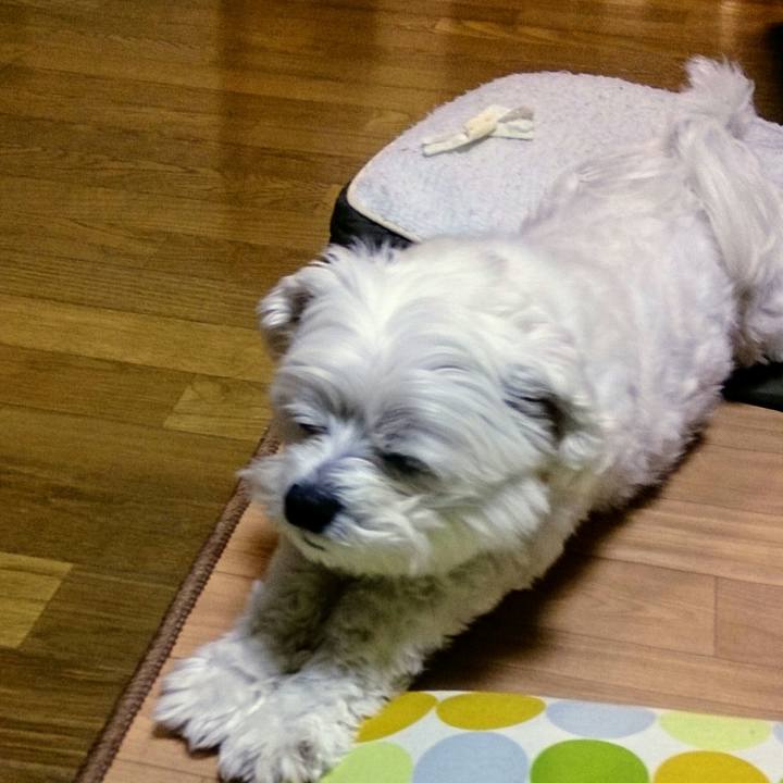 253cf7c0 537c 4cb3 93c0 b38f0fb8a355 1524218133187