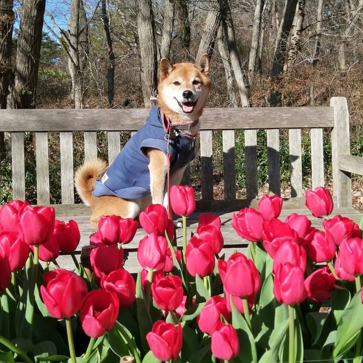 253d1d89 1e1e 4ab2 8a1b a8eeed21de1b 1639998088278