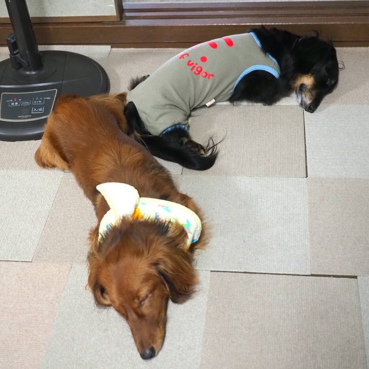 253d2de4 11a3 498c bb90 1105c2dae2d8 1722660692873