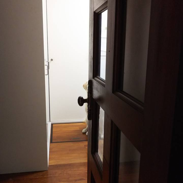 253d36d1 3a49 46d1 bacf 7267028b90ee 1528265453589