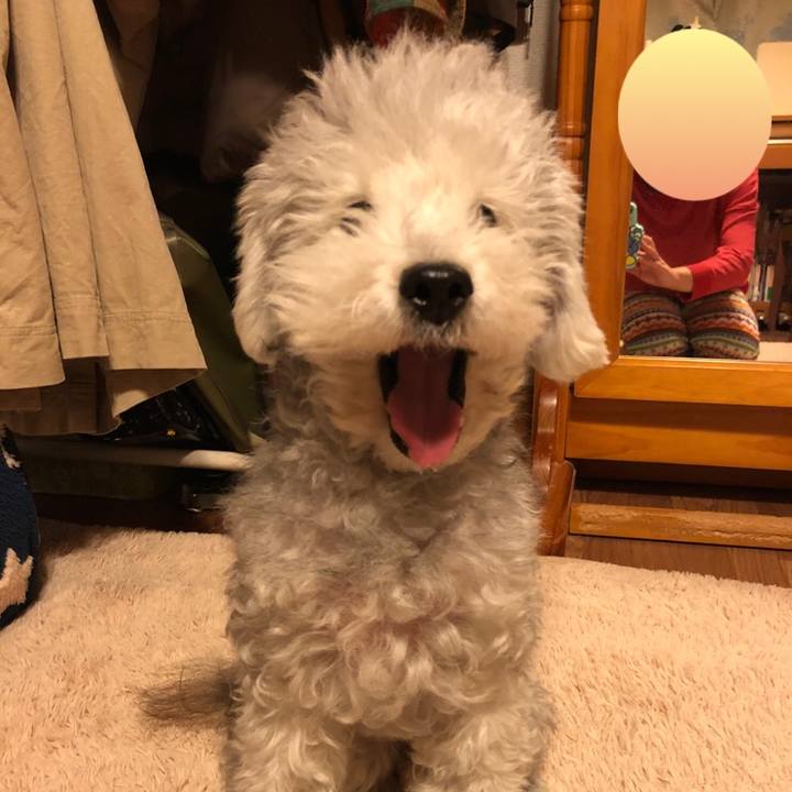 253d4d1a 7dcd 4ee9 8a2d bd8500a43e48 1609248221497