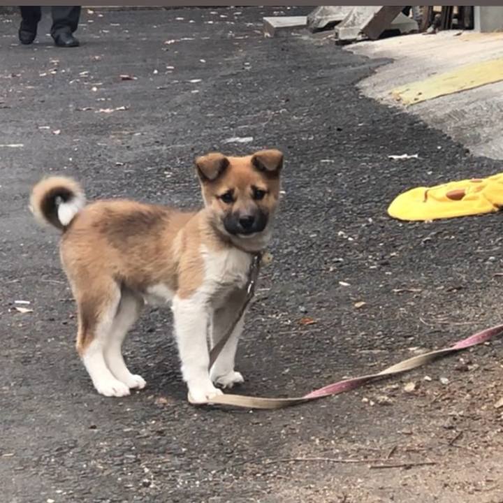 253d5c59 9039 4151 a38e a8b3ca67e222 1606785129010