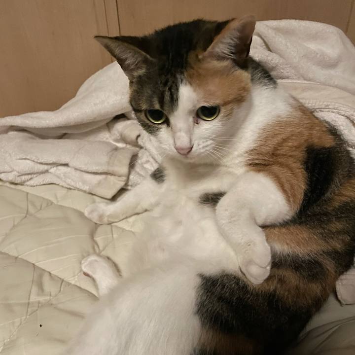 253d6174 f22f 4e7f a767 66aed4806e97 1625772173570