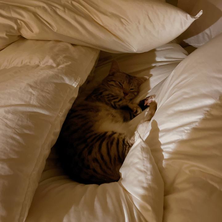 253da633 994a 4bf5 8e19 b4ff19f5378d 1651327687984