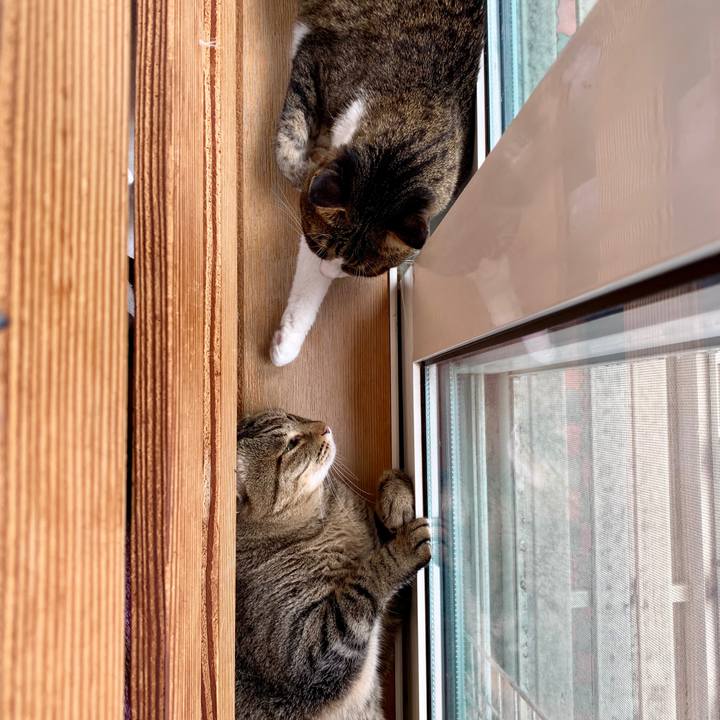 253dd4f2 dd6d 4a1b 8347 474418a7b146 1563934191608