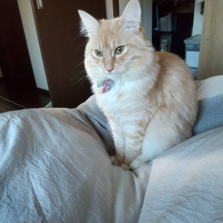 253dd5e2 9161 4144 9296 c167061fef70 1642207267844