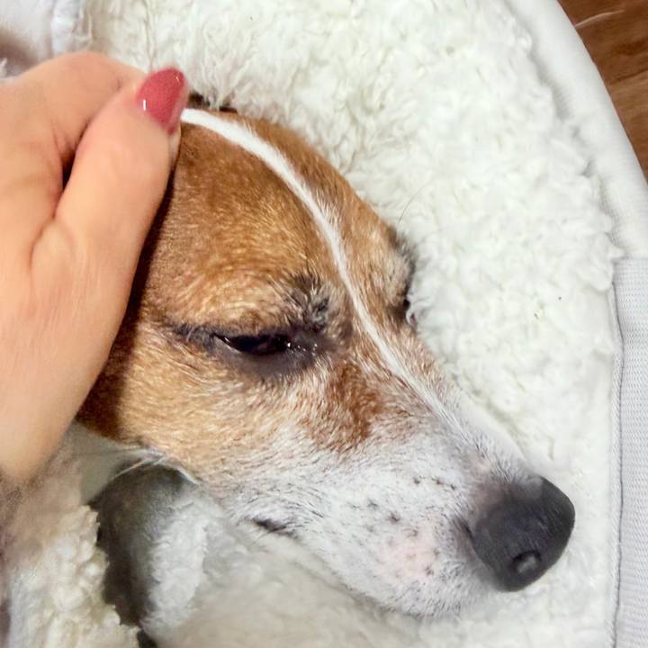 253dd71f cba2 485c 9929 dad02ab744c5 1769323216585