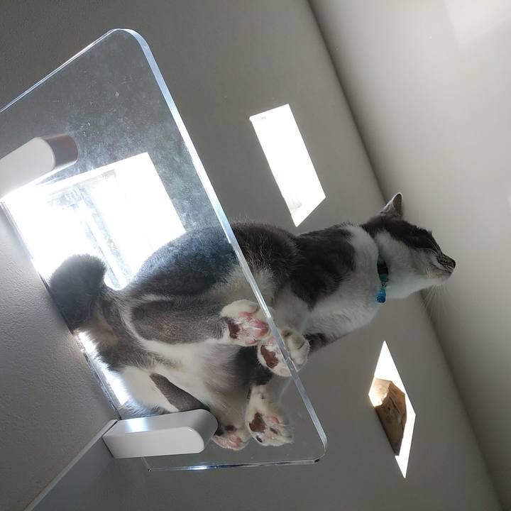 253e2054 33ec 462f a1b1 5d54d134e9d6 1586822761277