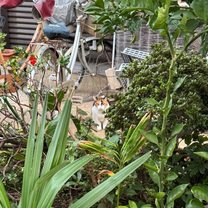 253e3736 1687 4434 a30f 4a9fba1f72a8 1760837022190