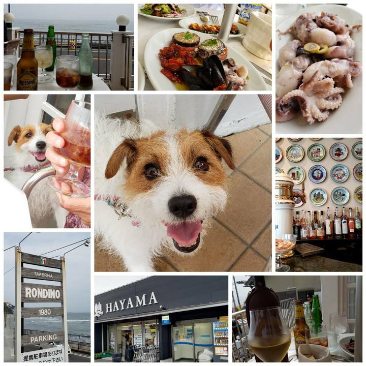 253e3893 df5b 4662 8218 91a82138a69e 1593247419776