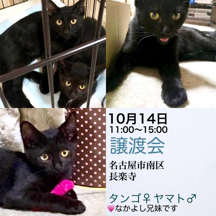 253e8067 b818 46e3 94ed 816890643f2c 1539230174753