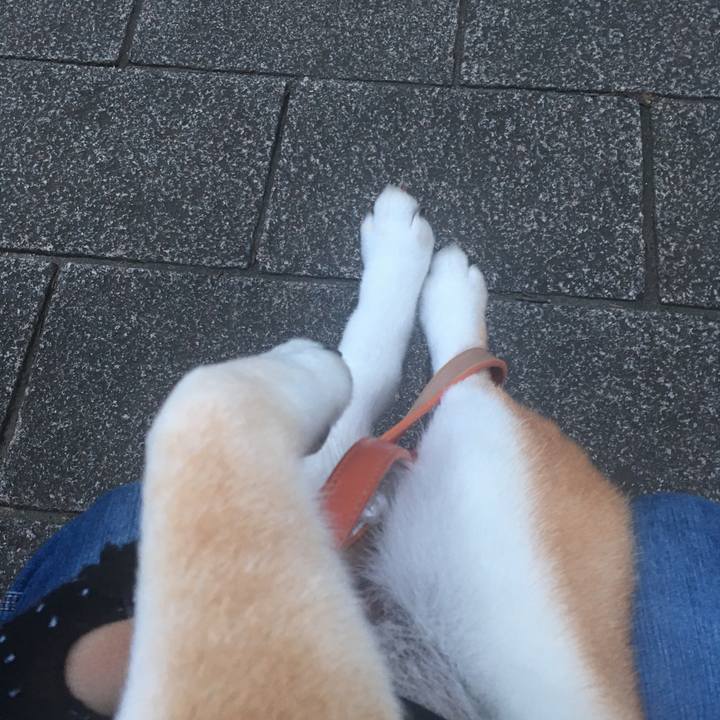 253eaf43 86fe 4152 a454 7ad5ae947689 1562670861681