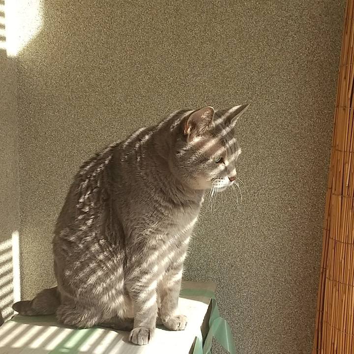 253ecaf7 3f8d 446c 8425 06eae3982bcf 1676170267513