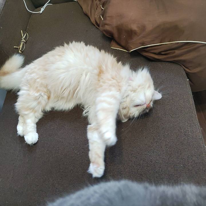 253eeebb 3c7c 4342 95da 381b7fe01d4d 1686660778343