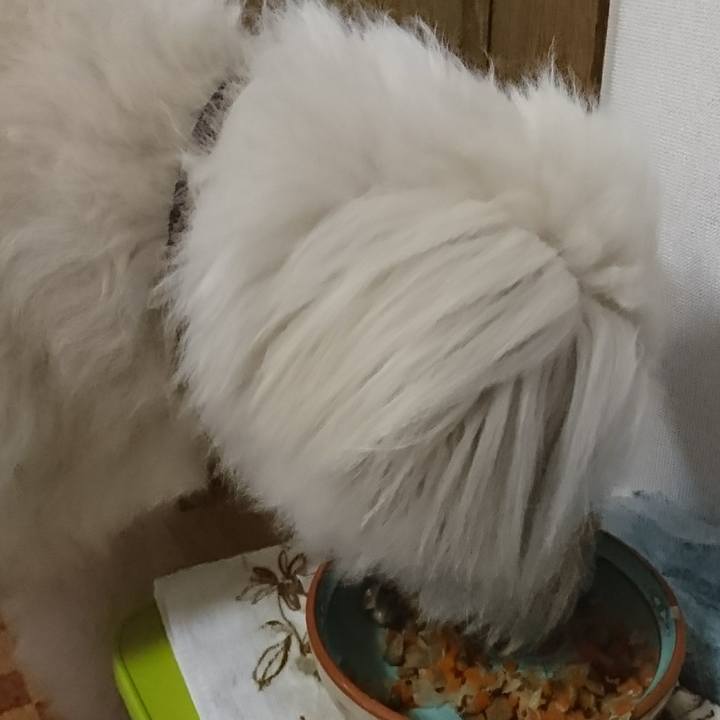 253f0c28 314c 4c38 ae14 2f9ceb6c4290 1595753566440