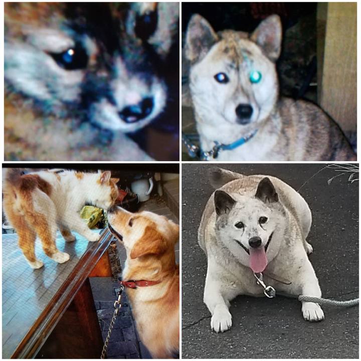 253f20ab c047 4b74 b29a 75e07e392301 1749913091272