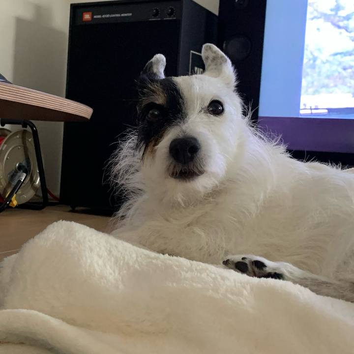 253f45d7 e105 483d aea8 a56519a38287 1751348589517