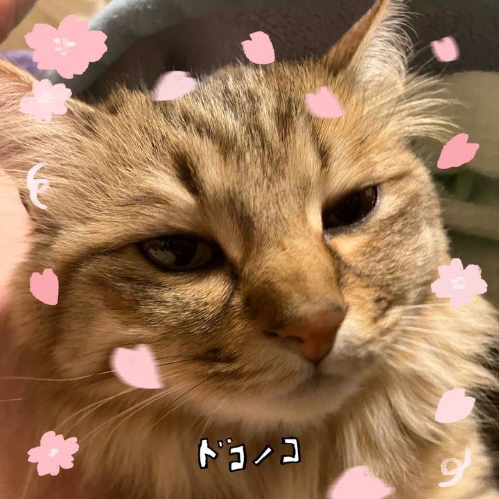 253f77ab 6549 4bc3 a1d9 b5bd7e09eec7 1744846087907