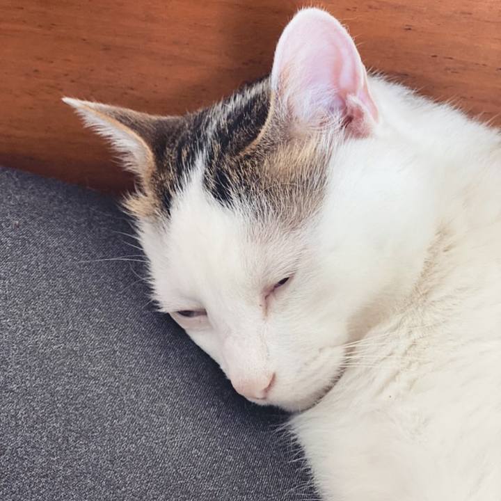 253fa7d9 8503 46b8 b830 cee2f315a699 1649334884426