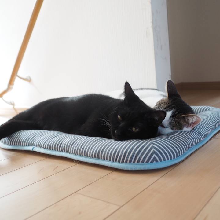 253fbab2 ea2f 4fbf 953e 3cc7e1c50afa 1537161026834