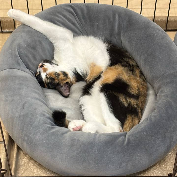 253fbde8 48f7 4199 8052 af15159b0f2e 1761224830994