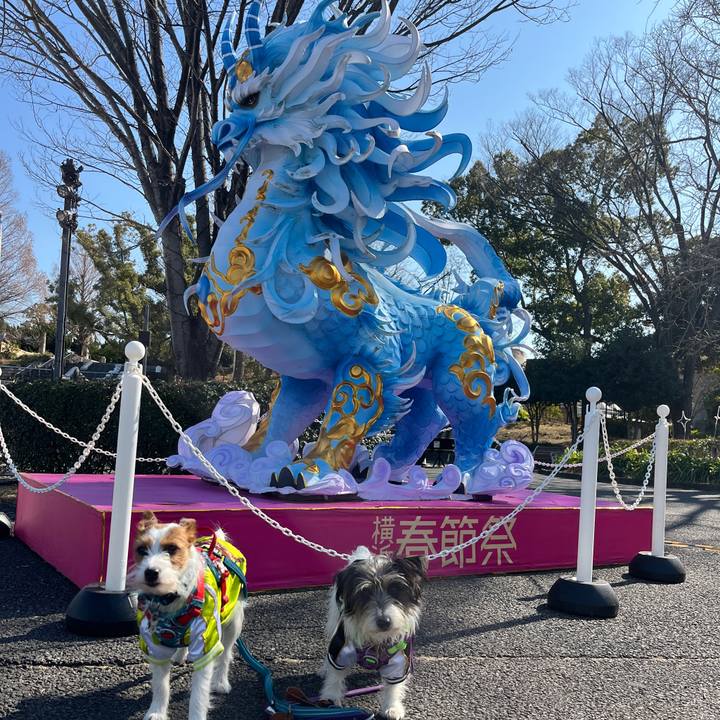 253fcca2 bc00 49b0 8520 bbd25a9ad707 1769786832097