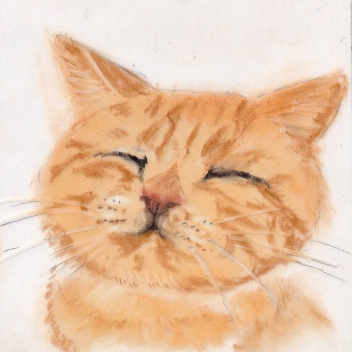 253fe5b3 728a 475d a745 b0ac866fbf15 1681651942409