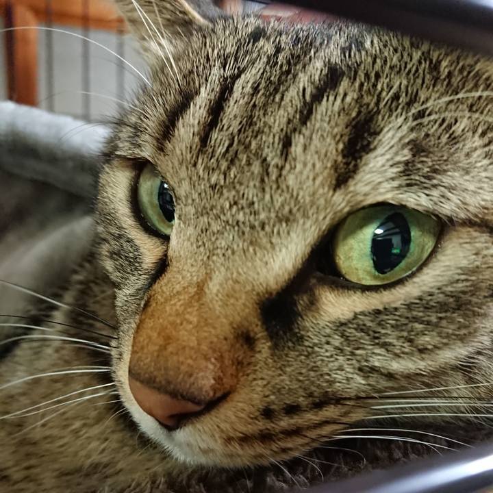 25401942 5ee7 4f52 996b 2c0d2c9bb354 1575115036831