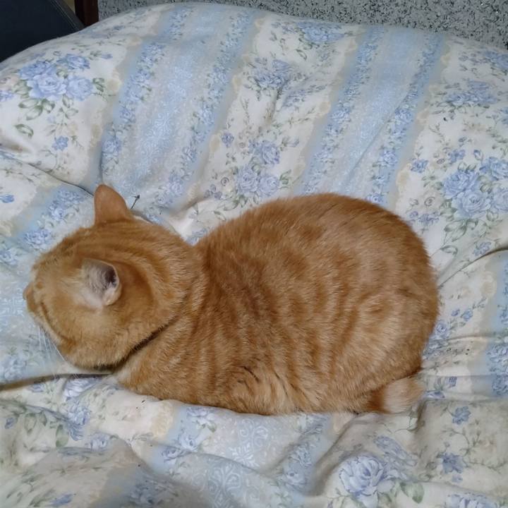 25401e33 8097 4fc4 9e28 5e1f8ff87cd5 1666442073888